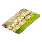 Row of Puppy Bunnies マグネット (左側)