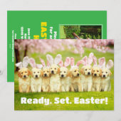 Row of Puppy Bunnies 招待状 (正面/裏面)