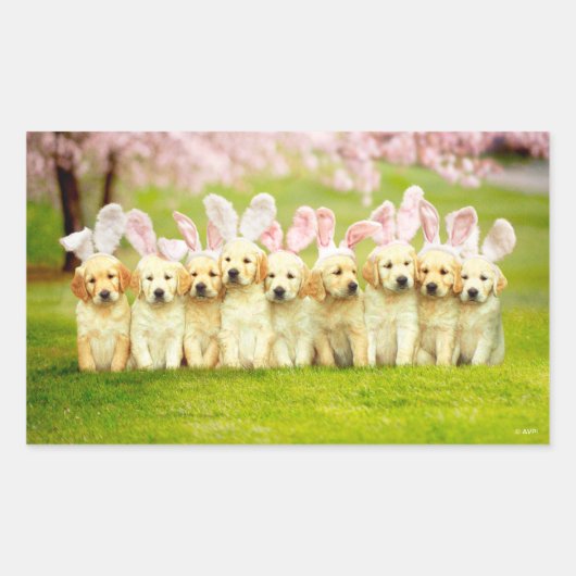 Row of Puppy Bunnies 長方形シール (正面)