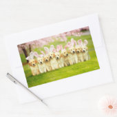 Row of Puppy Bunnies 長方形シール (封筒)