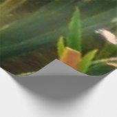 Row of Turtlesグリーン自然写真 ウッドポスター (コーナー)