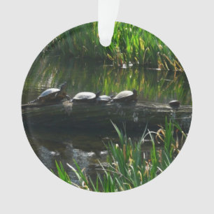 Row of Turtlesグリーン自然写真 オーナメント