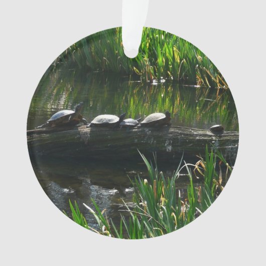 Row of Turtlesグリーン自然写真 オーナメント (正面)