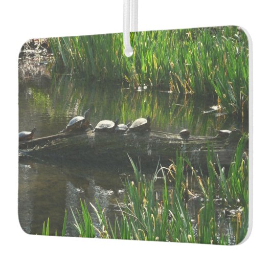 Row of Turtlesグリーン自然写真 カーエアーフレッシュナー (左)