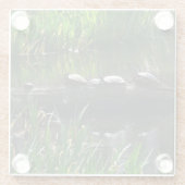 Row of Turtlesグリーン自然写真 ガラスコースター (裏面)