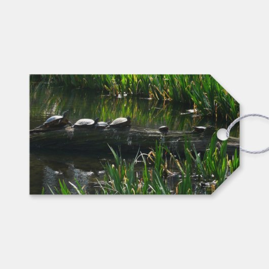Row of Turtlesグリーン自然写真 ギフトタグ (正面(横))