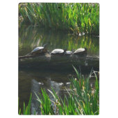 Row of Turtlesグリーン自然写真 クリップボード (裏面)