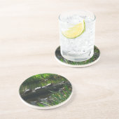 Row of Turtlesグリーン自然写真 コースター (側面)