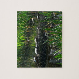 Row of Turtlesグリーン自然写真 ジグソーパズル