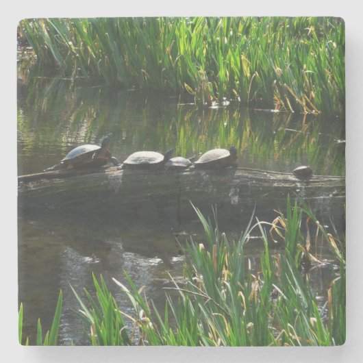 Row of Turtlesグリーン自然写真 ストーンコースター (正面)