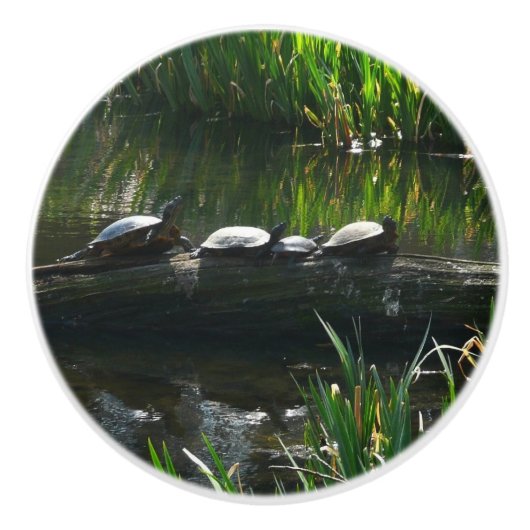 Row of Turtlesグリーン自然写真 セラミックノブ (正面)