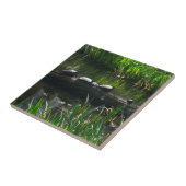 Row of Turtlesグリーン自然写真 タイル (側面)