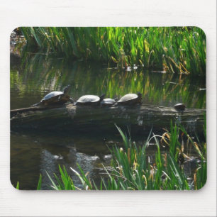 Row of Turtlesグリーン自然写真 マウスパッド