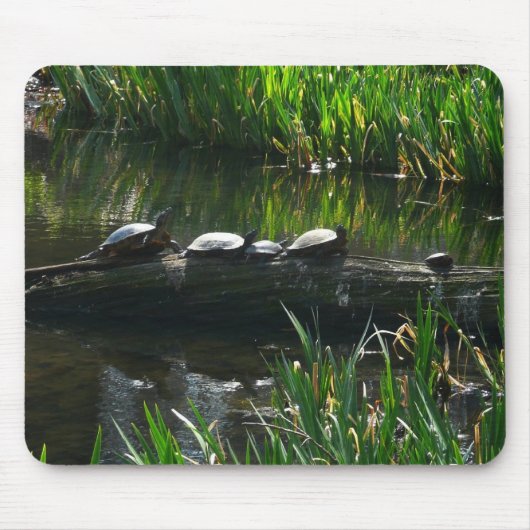 Row of Turtlesグリーン自然写真 マウスパッド (正面)