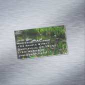 Row of Turtlesグリーン自然写真 マグネット名刺 (インサイチュ)