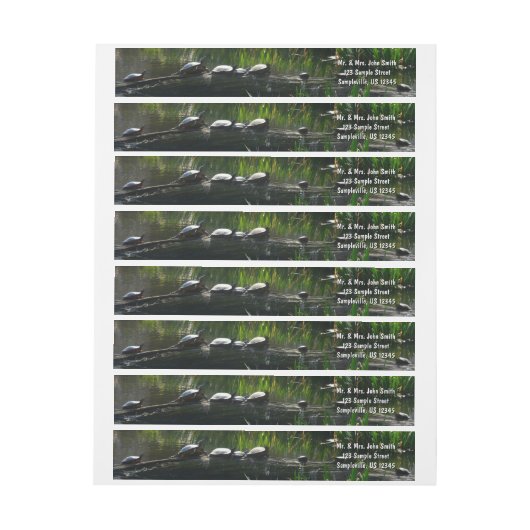 Row of Turtlesグリーン自然写真 ラップアラウンドラベル (シート)