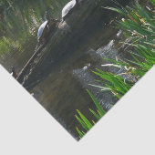 Row of Turtlesグリーン自然写真 薄葉紙 (詳細)