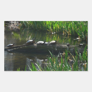Row of Turtlesグリーン自然写真 長方形シール