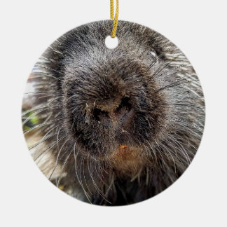 Rox 2016 セラミックオーナメント