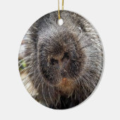 Rox 2016 セラミックオーナメント (左)