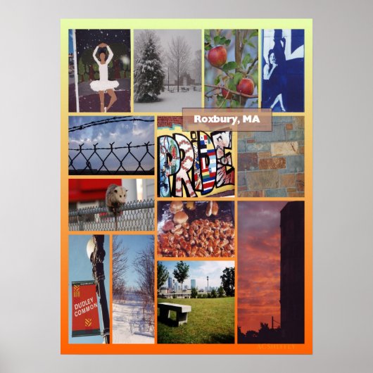 Roxbury, MA photo collage ポスター (正面)