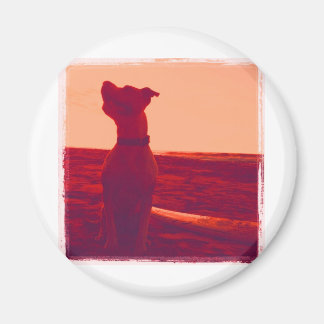 Roxy Photo by Daniela マグネット