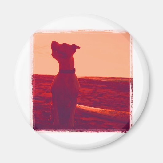 Roxy Photo by Daniela マグネット (正面)