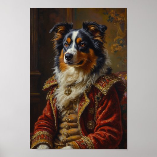 Royal Australian Shepherd Portrait ポスター (正面)