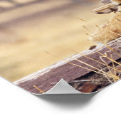 Royal Bengal Tiger at the ceaph, ポスター (角)