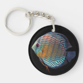 Royal Blue Discus キーホルダー (正面)