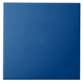 Royal Blue, Ocean Depth | #00458A タイル
