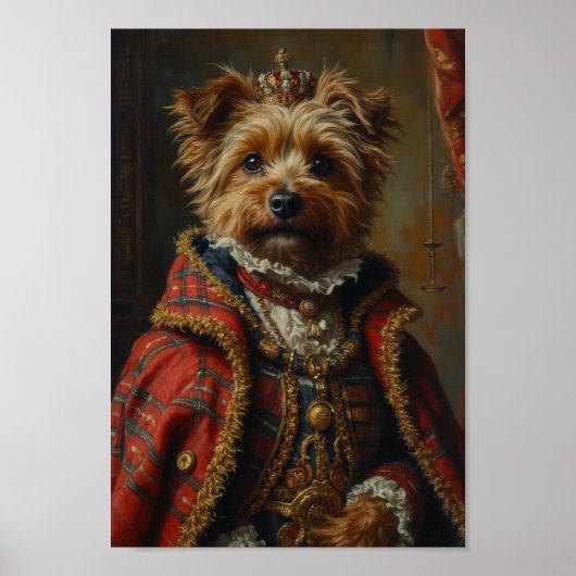 Royal Cairn Terrier Portrait ポスター (正面)