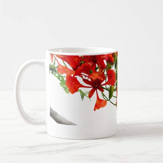 Royal Poinciana,Gulmohar Floral Classic Mug  コーヒーマグカップ (左)