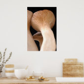 Royal Trumpet Mushroom Photo ポスター (キッチン)