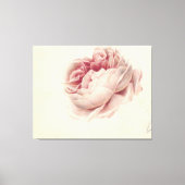 Roze Roos (1792) – タイムレスヴィンテージ植物芸術 キャンバスプリント (正面)