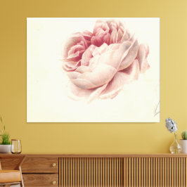 Roze Roos (1792) – タイムレスヴィンテージ植物芸術 キャンバスプリント