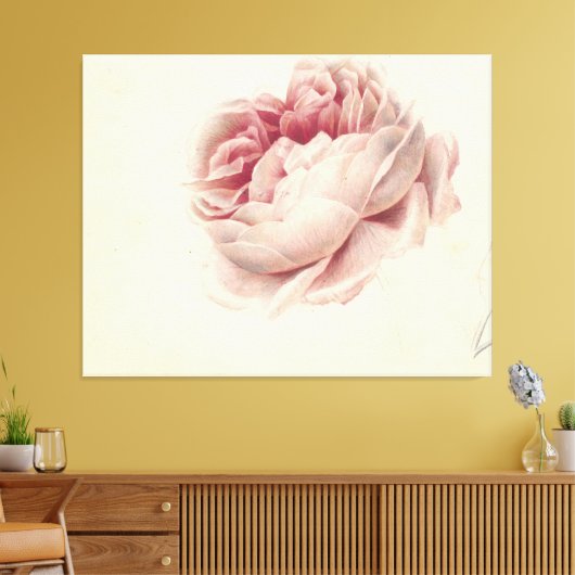 Roze Roos (1792) – タイムレスヴィンテージ植物芸術 キャンバスプリント (インサイチュ (リビング))