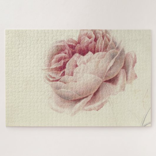 Roze Roos (1792) – タイムレスヴィンテージ植物芸術 ジグソーパズル (横)