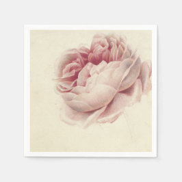 Roze Roos (1792) – タイムレスヴィンテージ植物芸術 スタンダードカクテルナプキン