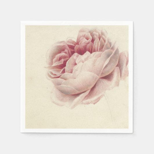 Roze Roos (1792) – タイムレスヴィンテージ植物芸術 スタンダードカクテルナプキン (正面)