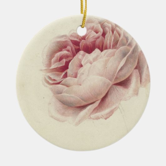 Roze Roos (1792) – タイムレスヴィンテージ植物芸術 セラミックオーナメント (正面)