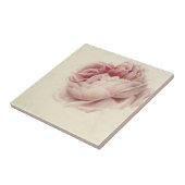 Roze Roos (1792) – タイムレスヴィンテージ植物芸術 タイル (側面)