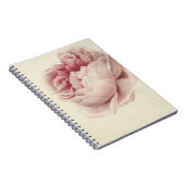 Roze Roos (1792) – タイムレスヴィンテージ植物芸術 ノートブック (右側)