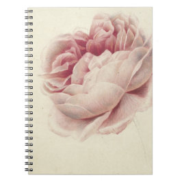 Roze Roos (1792) – タイムレスヴィンテージ植物芸術 ノートブック