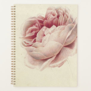 Roze Roos (1792) – タイムレスヴィンテージ植物芸術 プランナー手帳