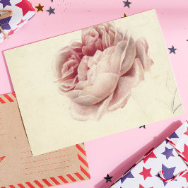 Roze Roos (1792) – タイムレスヴィンテージ植物芸術 ポストカード