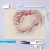 Roze Roos (1792) – タイムレスヴィンテージ植物芸術 薄葉紙 (クラフト)