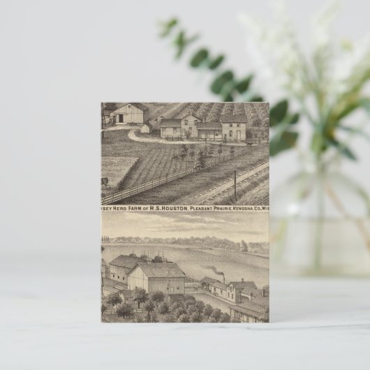 RSヒューストンとWCホワイトの酪農場 ポストカード (スタンド正面)