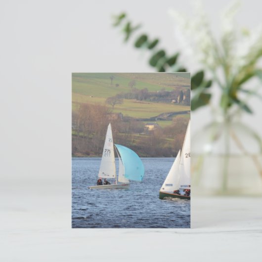 RS200と蛍の小魚 ポストカード (スタンド正面)