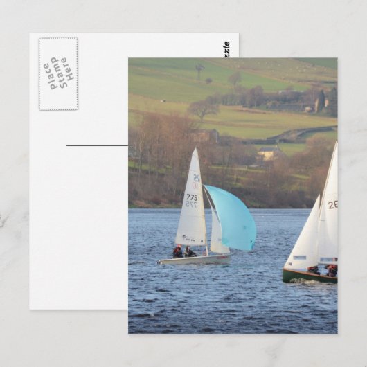 RS200と蛍の小魚 ポストカード (正面/裏面)